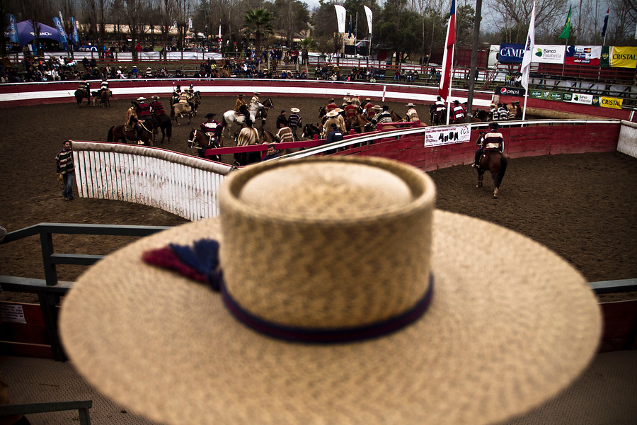 Volteretas, perro matapacos y "aberración ideológica": El encendido debate de los diputados sobre si el rodeo debe ser considerado deporte nacional