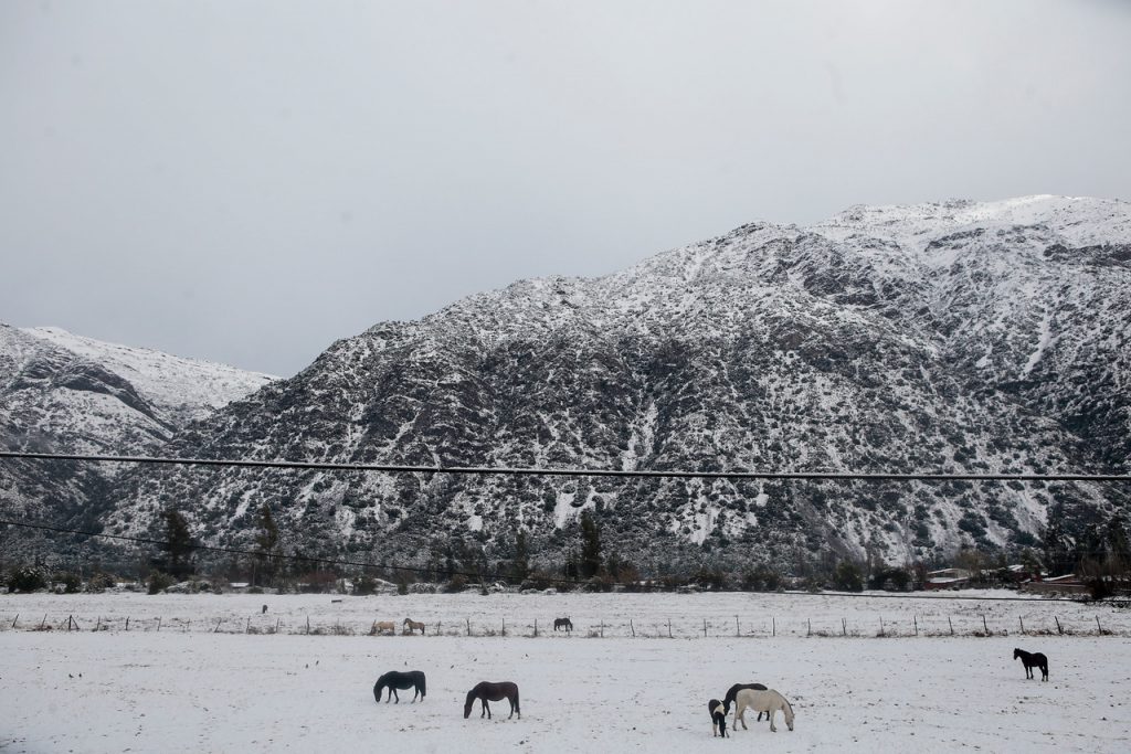 Meteorología actualiza aviso de nevadas en regiones del país: ¿Dónde Nevará?